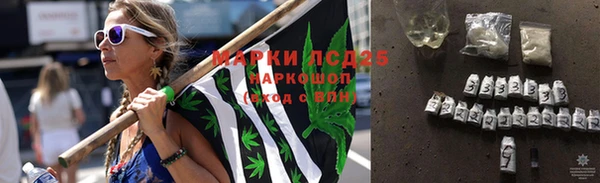 эйфоретик Богданович