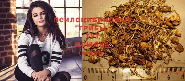 эйфоретик Богданович