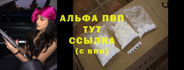 PSILOCYBIN Богородицк
