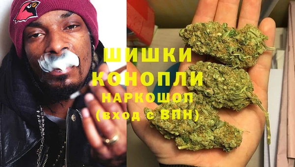 дживик Богородск