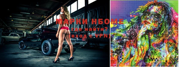 дживик Богородск