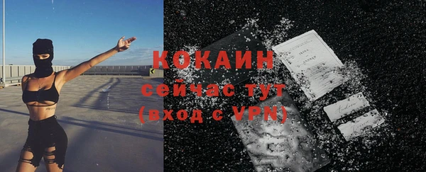 дживик Богородск