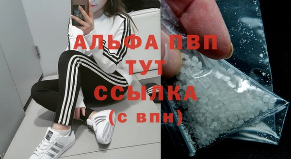 PSILOCYBIN Богородицк