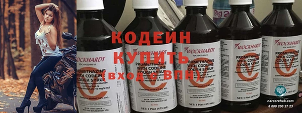 дживик Богородск