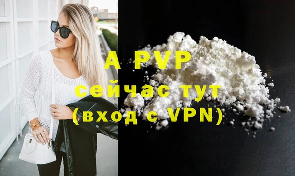 PSILOCYBIN Богородицк