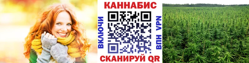 Купить  Вязники  МАРИХУАНА планчик 